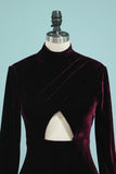 2024 Mermaid High Neck Long Sleeves Velvet Sweep Train P496DEEA