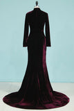 2024 Mermaid High Neck Long Sleeves Velvet Sweep Train P496DEEA