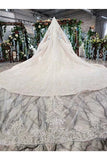 Ball Gown Wedding Dresses 2 Meter Train Off The Shoulder Top Quality Appliques PS466ZYL