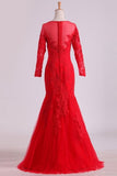 2024 Mother Of The Bride Dresses Scoop 3/4 Length Sleeves Tulle With PS6Q3CHZ