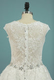 2024 V Neck A Line Beaded Waistline Wedding Dresses Lace P1BRHZ1F