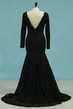 2024 New Arrival V Neck Long Sleeves Prom Dresses PL475EJ2