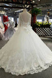 2024 Luxury Wedding Dresses A-Line Floor Length Long Sleeves Lace Up Back Tulle With Applique P3M6AR84