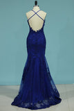 2024 Prom Dresses Spaghetti Straps Mermaid Tulle With P2BJSMKZ