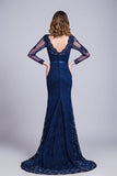 2024 V-Neck Evening Dresses Mermaid With Applique Lace PZ14ZDYZ