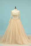 2024 Wedding Dresses V Neck Long Sleeves Tulle With Applique P7G5NF6N