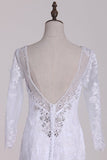 2024 V-Neck 3/4 Length Sleeve Wedding Dresses Mermaid Tulle With Beads And Applique PZNLFRB8