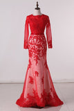 2024 Long Sleeves Prom Dresses Mermaid Scoop Tulle P1E8SAD1