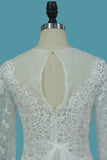 2024 A Line Prom Dresses Scoop Long Sleeves Lace PLFGRLXZ