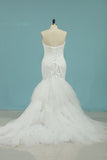 2024 New Arrival Sweetheart Tulle With Applique Mermaid PCSMZLTD