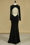 2024 Long Sleeve Evening Dresses Sheath PJ4XJ28X