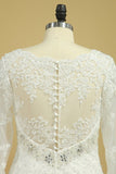 2024 Plus Size V-Neck Long Sleeves Wedding Dresses With Applique P49MY93H