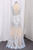 2024 Sexy V Neck Low Back Prom Dress Tulle Embellished With Beaded Applique Floor Length