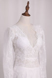 2024 V Neck Long Sleeves Lace Mermaid Wedding Dresses Open Back PAL9XDG5