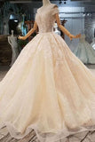 2024 Off-The-Shoulder Ball Gown Lace Lace Up Back Royal Train PP6JNDH6