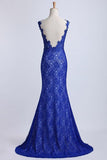 2024 Evening Dresses Bateau Mermaid With Deep V Shape Back Lace&Tulle Dark Royal PZ7783AA