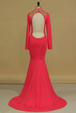 2024 High Neck Prom Dresses Mermaid/Trumpet Court Train PKKCQSTL