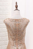 2024 Scoop Mermaid Sequins Prom Dresses PBQ8XPLH