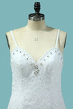 2024 Mermaid Spaghetti Straps Wedding Dresses Open Back Lace PHS9E3Z7