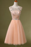 Blush Pink Backless Tulle Short Homecoming Dresses