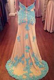 Long Sleeves Lace Sheath Long Prom Dresses Mother of Bride Dresses