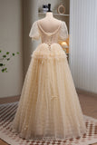 Charming Champagne V Neck Short Sleeves A Line Tulle Long Prom Dresses