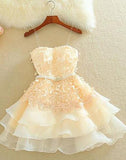 Cute A Line Sweetheart Spaghetti Straps Blush Pink Homecoming Dresses with Appliques