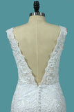 2024 Open Back V Neck Tulle & Lace Wedding Dresses With Applique P2QJ5FQH