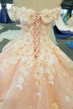 2024 Pink Wedding Dresses Lace Up With Handmade Flower PFQLD3G9