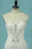 2024 Strapless Mermaid/Trumpet Wedding Dresses Court Train With P929FK1S