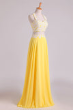 2024 New Arrival Halter Prom Dresses A-Line With Applique P315JG7J