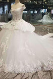 2024 New Arrvival Marvelous Tulle Wedding Dresses Lace Up With Appliques PADMR2AT