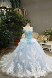 2024 Sky Blue Floral Wedding Dress Shiny Tulle Lace Off The Shoulder Lace Up With P8GMTLKM