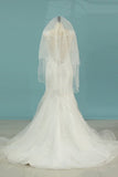 2024 Mermaid/Trumpet Wedding Dresses V-Neck Chapel Train Tulle With PE4LMZMJ