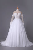 2024 Long Sleeves Bateau Open Back Wedding Dresses Tulle With P52HTGNX