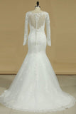 2024 Long Sleeves V Neck Mermaid Wedding Dresses Tulle With Applique PAY8RKKR