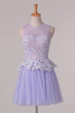 2024 Homecoming Dresses A Line Scoop With Applique Tulle & Lace PHHK7ZZK