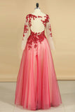 2024 See-Through Prom Dresses Scoop Long Sleeves Tulle With Applique A Line