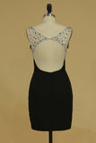 2024 Homecoming Dresses Sheath V Neck With Beading PM4A5AQA