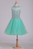 2024 Homecoming Dresses High Neck A Line Short/Mini Beaded Bodice Tulle Open P2X5D1GC