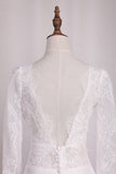 2024 V Neck Long Sleeves Lace Mermaid Wedding Dresses Open Back PAL9XDG5