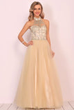 2024 A-Line Halter Prom Dress Floor-Length Tulle PDPGDNZG