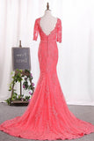 2024 Mermaid Scoop Mid-Length Sleeves Prom Dresses Tulle With Appliques PPE3DRLE