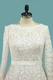 2024 Prom Dresses A-Line Long Sleeves Soft Lace Bateau PYLNS49P