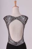 2024 Sexy Open Back Scoop Spandex With Rhinestone Sheath/Column PGPS7JG6