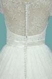 2024 Wedding Dresses A Line V Neck Lace & Tulle With PCEATMXZ