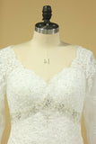 2024 Plus Size V-Neck Long Sleeves Wedding Dresses With Applique P49MY93H