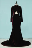 2024 Mermaid High Neck Long Sleeves Velvet Sweep Train P496DEEA