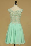 2024 Homecoming Dresses A Line Scoop Chiffon With Applique And PN58T4F2