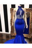 Sexy Evening Dresses Mermaid/Trumpet Halter Appliques Court STKPSM3SECT